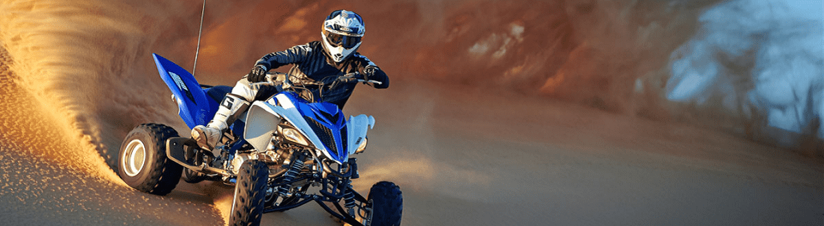 2017 Yamaha ATV for sale in Wheels In Motion, Chatsworth, California